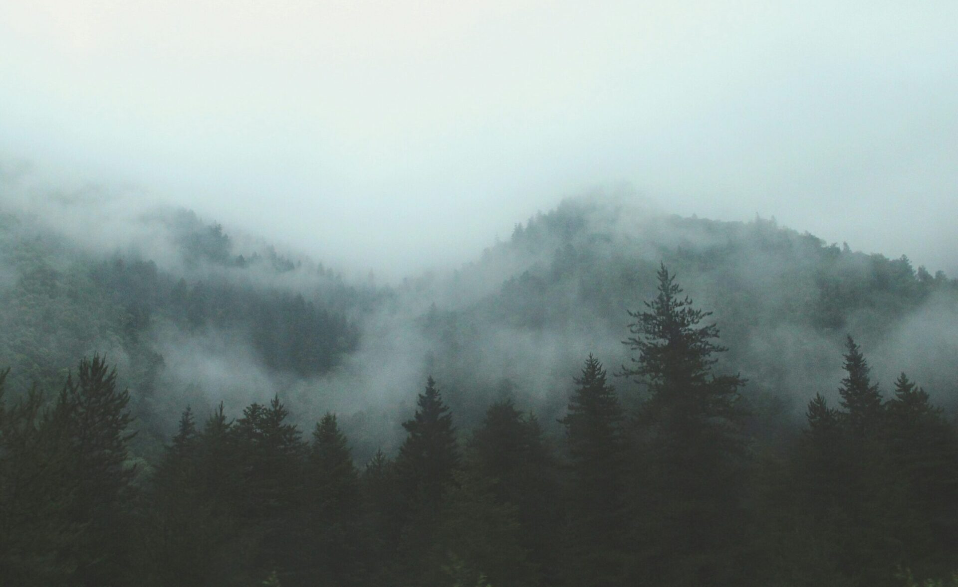 Rådgivning - Nordafor Revisjon