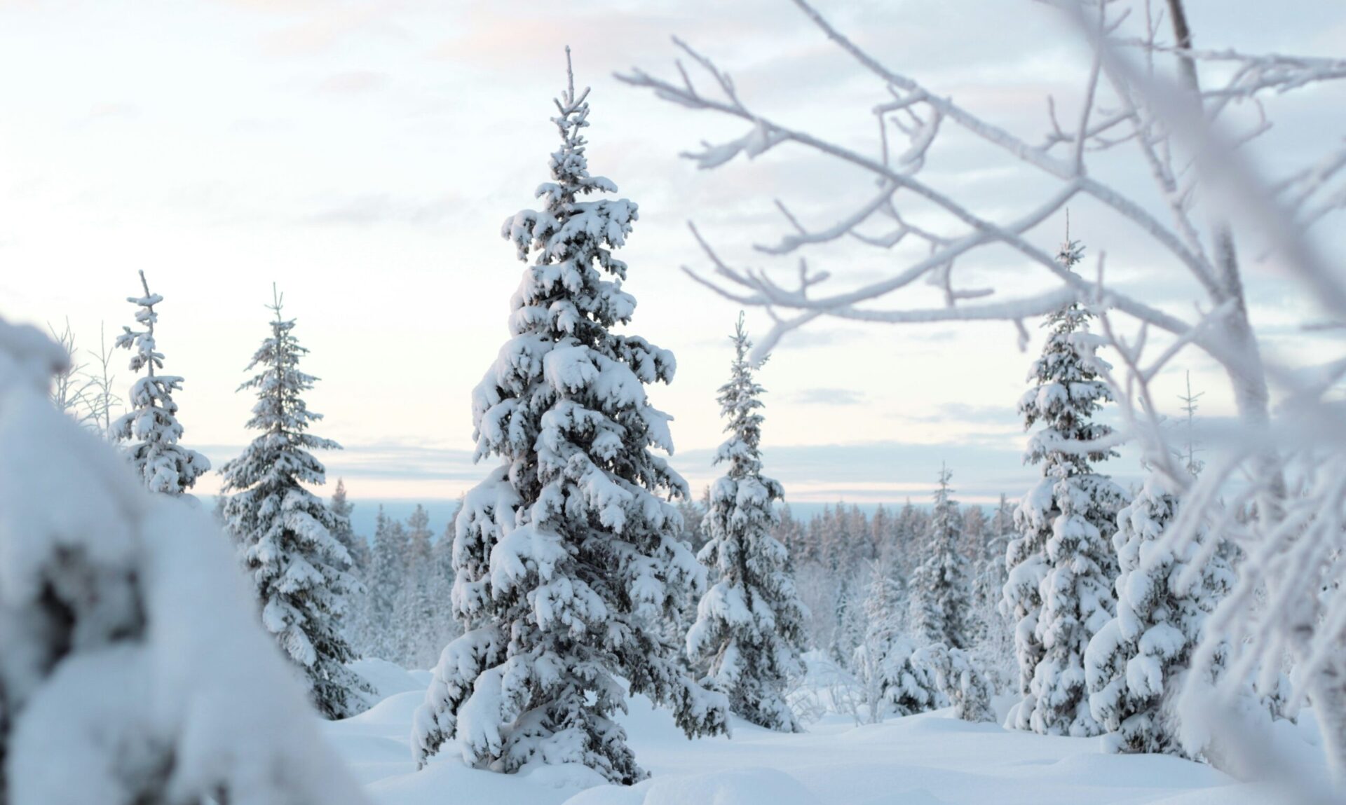 Årsoppgjør - Nordafor Revisjon